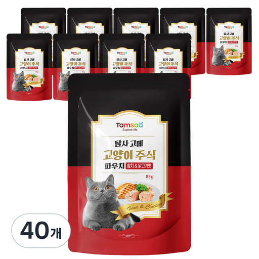 옵션 10 사진