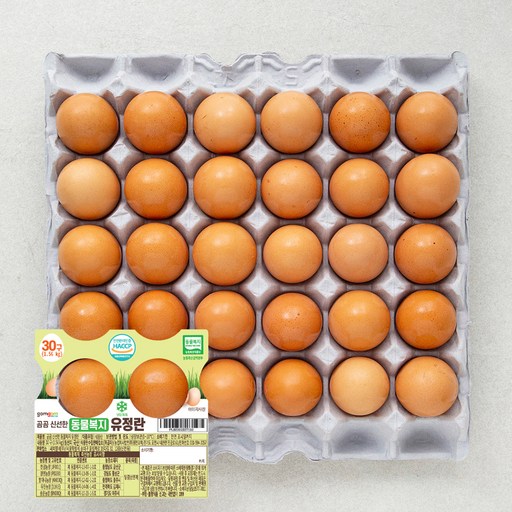 곰곰 신선한 동물복지 유정란 30구