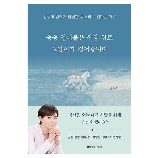 꽁꽁 얼어붙은 한강 위로 고양이가 걸어갑니다:김주하 앵커가 단단한 목소리로 전하는 위로