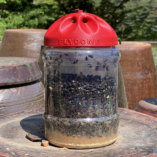 에코트랩 플라이돔 빅사이즈 6만마리 파리퇴치기 트랩 포획 박멸 제거 재사용 가능