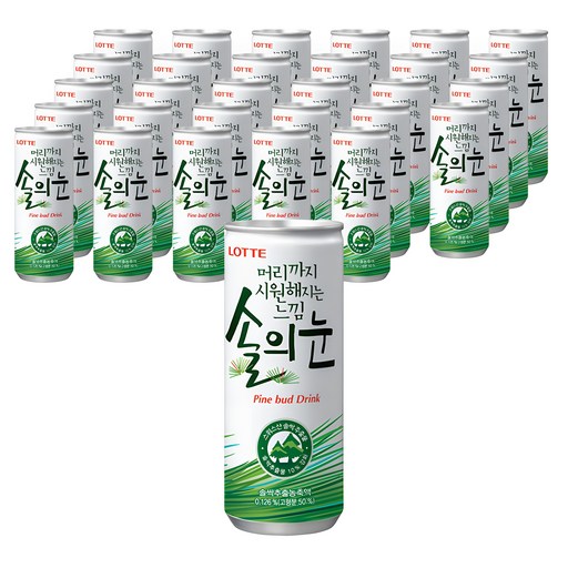 솔의눈