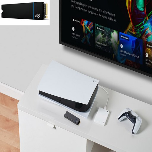 씨게이트 Game Drive M.2 SSD for PS5
