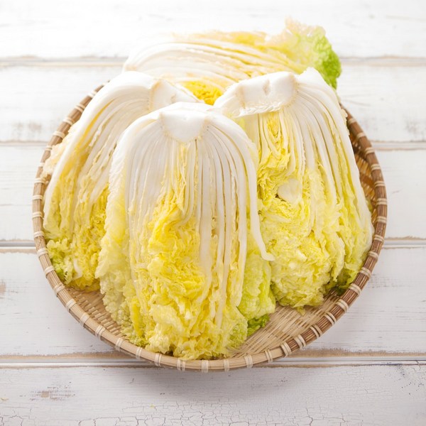싱싱하고 건강한 유기농 통배추: 맛과 영양, 안전까지 책임지는 선택!