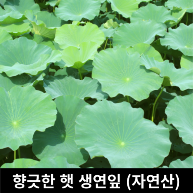 244e22d2355dcf89c4733e60be693b6c83e6be1602bbcc624ac1559fc703.png