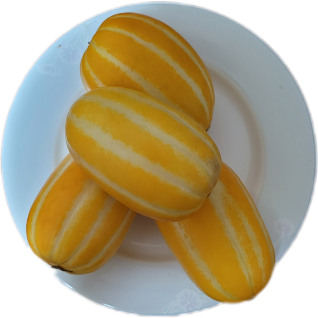 8c1e0221022b770d92af3be2b8ef34422de94ff6810f25494f10311603d6.png