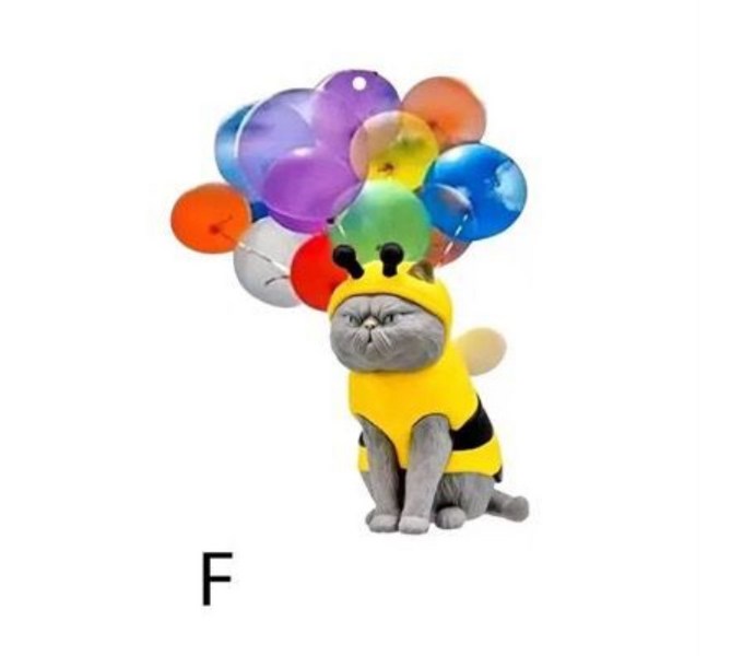 한국패러글라이딩: 자유비행의 꿈, 안전하고 짜릿한 경험을 선물하세요!