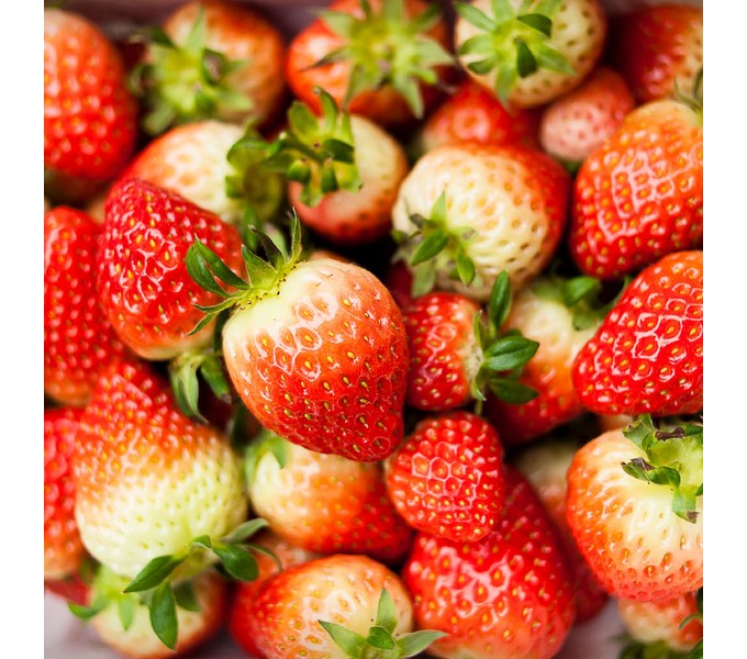 명일원딸기 완벽 가이드: 맛과 품질, 가격 비교 분석 및 구매 가이드