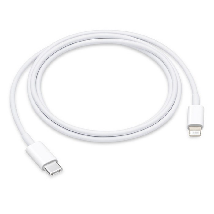 Apple 정품 LightningC타입 충전 케이블, 1M, 1개
