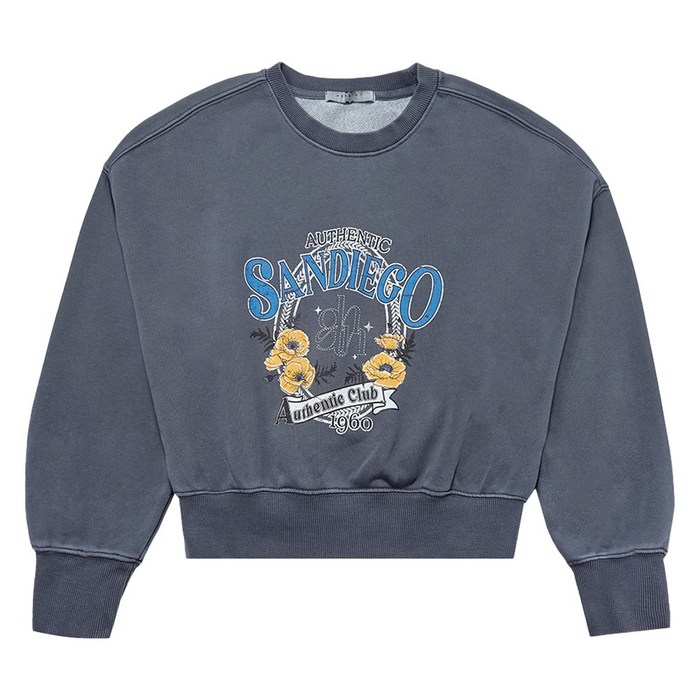 행텐 여성용 피그먼트 빅 그래픽 맨투맨