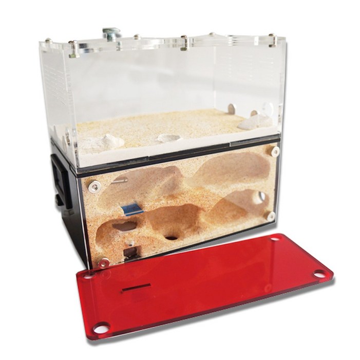 정하남 개미 키우기 아파트 개미사육장 아크릴 대형 소형 석고 개미집