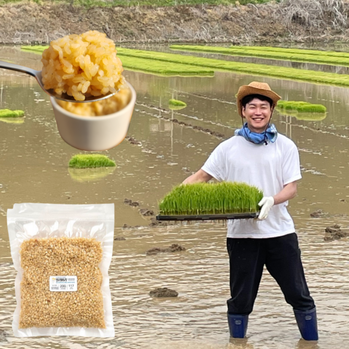 황미 황미쌀 오분도미 오분도쌀 오분도미쌀 5분도미 쌀 당일도정 미강 쌀눈 진공포장 쌀리버리, 10kg, 1개 황미 황미쌀 오분도미 오분도쌀 오분도미쌀 5분도미 쌀 당일도정 미강 쌀눈 진공포장 쌀리버리, 10kg, 1개