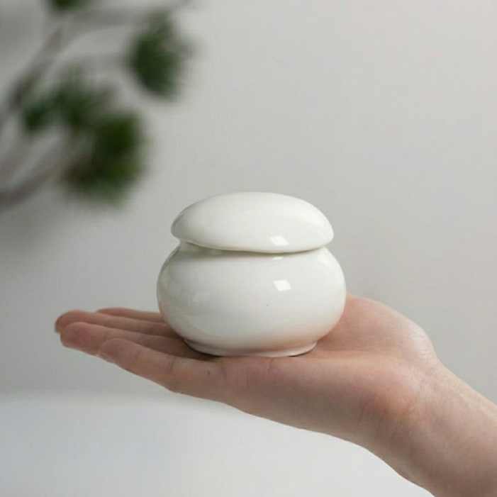 루미다온 재물운 항아리