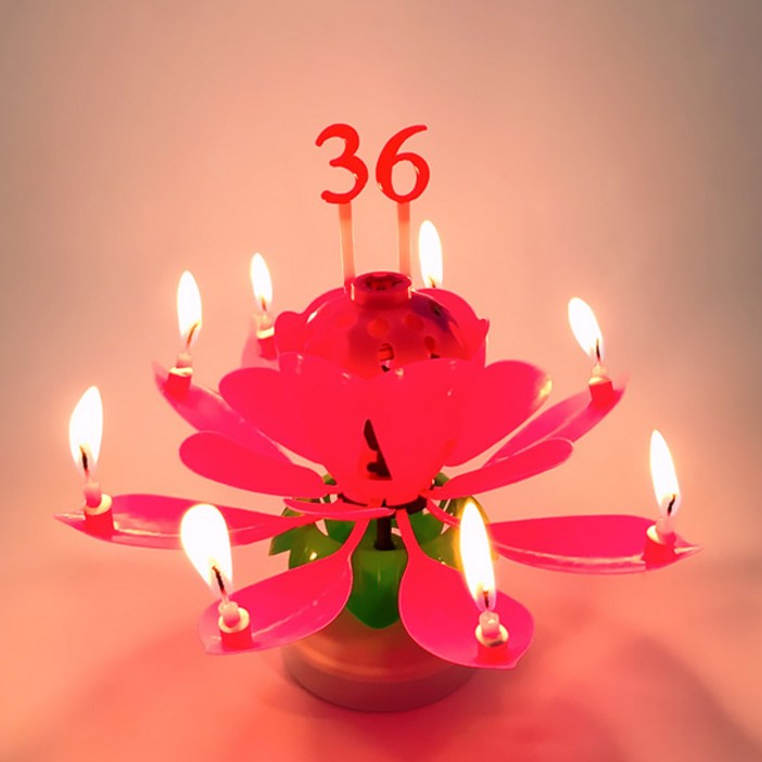 스토리빙 생일 축하 초 연꽃 멜로디 선물 파티 용품  숫자 토퍼 19p 세트, 레드