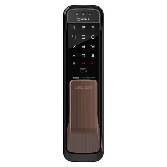솔리티 얼굴인식 무타공 푸시필 손잡이 도어락 WP-500A