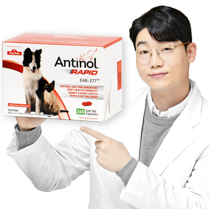 안티놀 래피드 240정, 1개, 뼈관절강화, 영양제