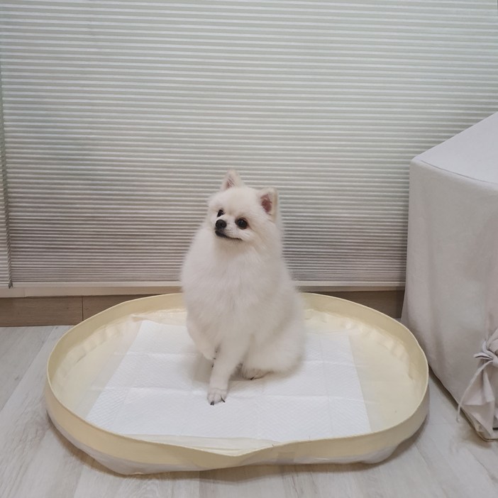 피피 강아지 애견 수컷 배변판 배변매트 방수 화장실