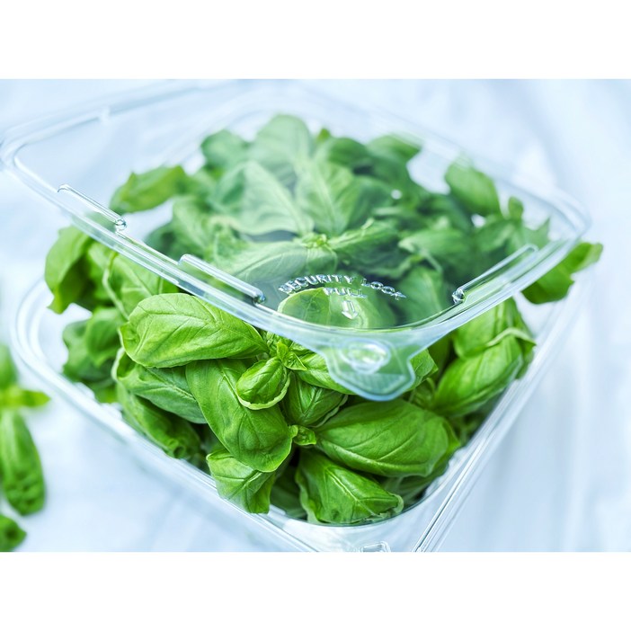 프레시그램 프리미엄 바질 잎 파스타 샐러드 피자 허브 토핑, 50g, 1개