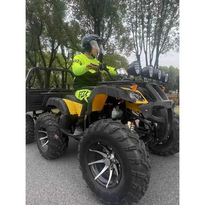 4륜 오프로드 오토바이 스쿠터 네발 농업용 바이크, 1개, 디자인1 (250CC)