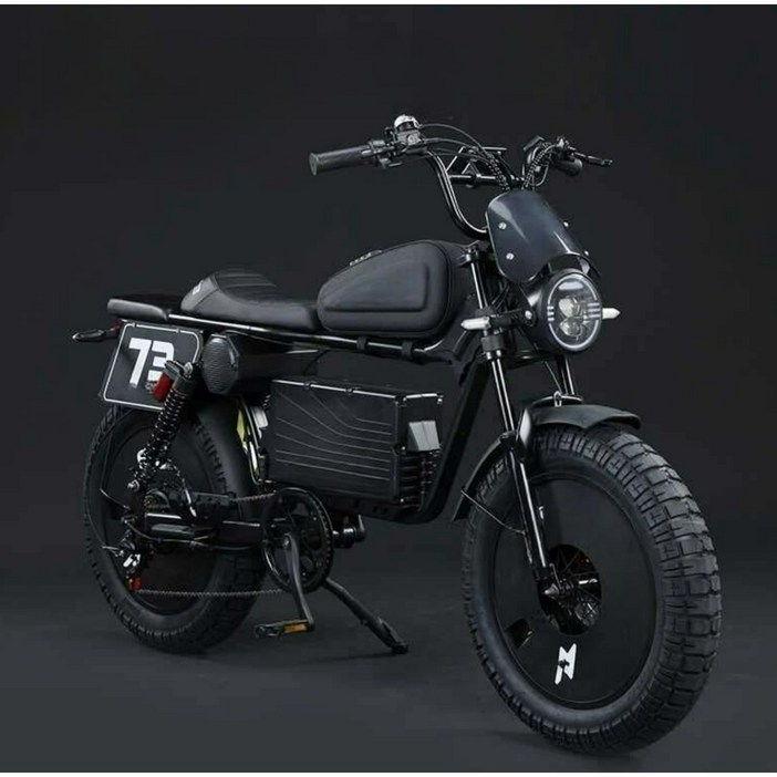 고출력 전기자전거 60V 신형 자토바이 페이스오프 N1 3000W 배달용
