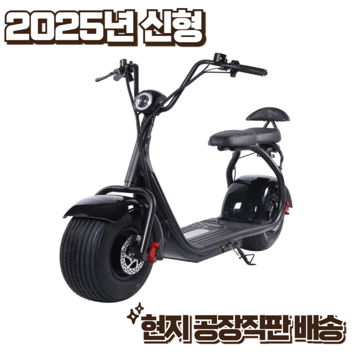 New Wave 할리 전기오토바이 전기스쿠터 클래식 전동 전기바이크 리튬배터리 친환경 New Wave 할리 전기오토바이 전기스쿠터 클래식 전동 전기바이크 리튬배터리 친환경