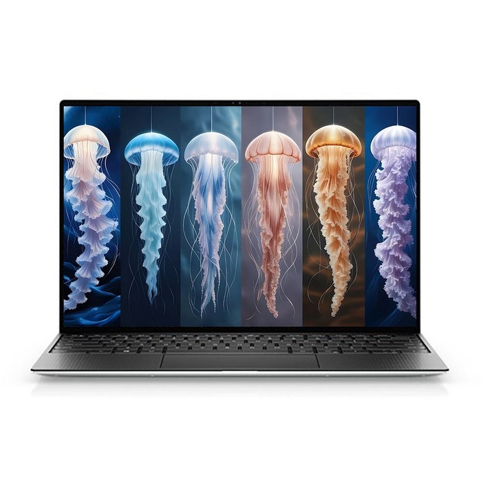 DELL XPS 13 9310 13.4인치 4K UHD i71185G732GNVMe 1T윈11Pro, DELL XPS 13 9310, WIN11 Pro, 32GB, 1TB, 플래티넘 실버 DELL XPS 13 9310 13.4인치 4K UHD i71185G732GNVMe 1T윈11Pro, DELL XPS 13 9310, WIN11 Pro, 32GB, 1TB, 플래티넘 실버