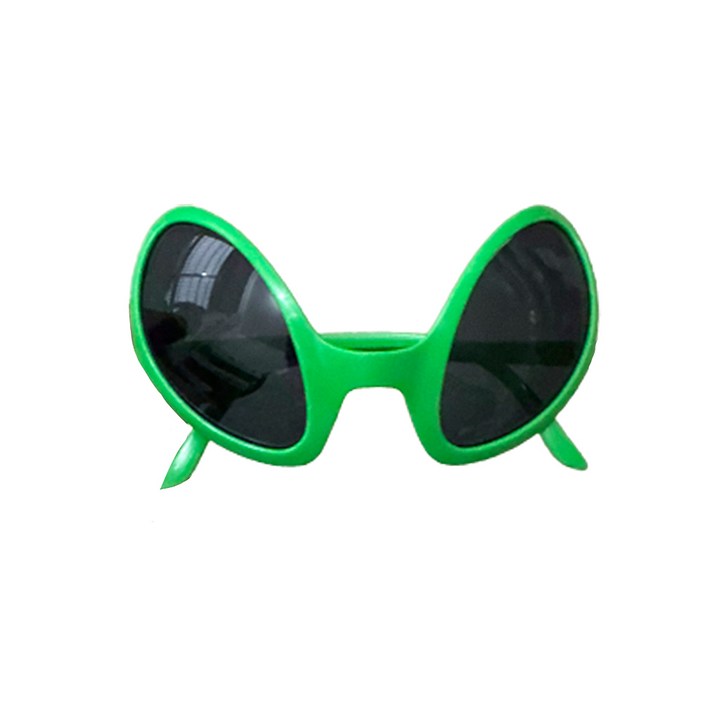 팡파티 인싸 선글라스