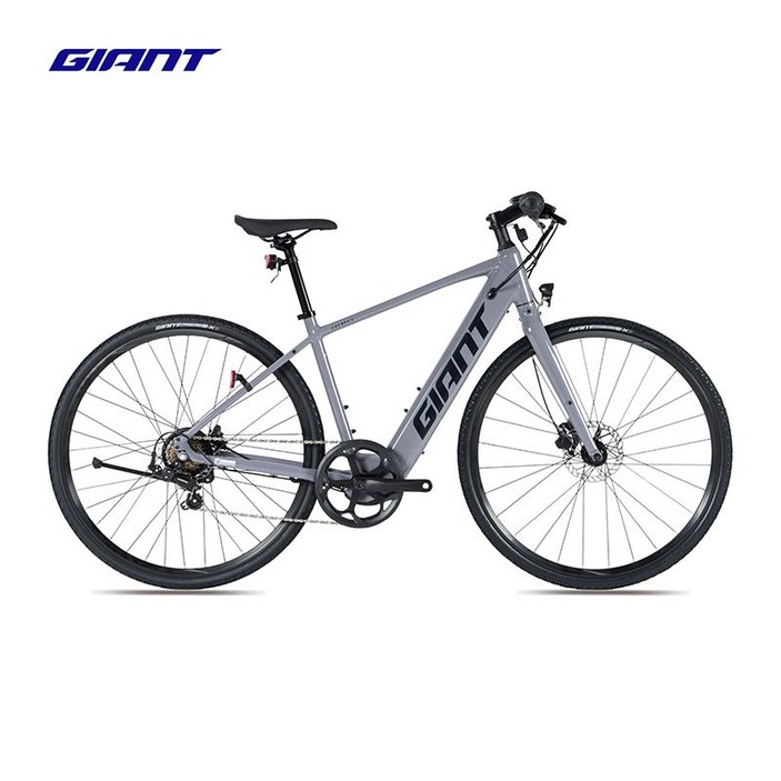 자이언트 에스케이프 E Giant Escape 전기자전거
