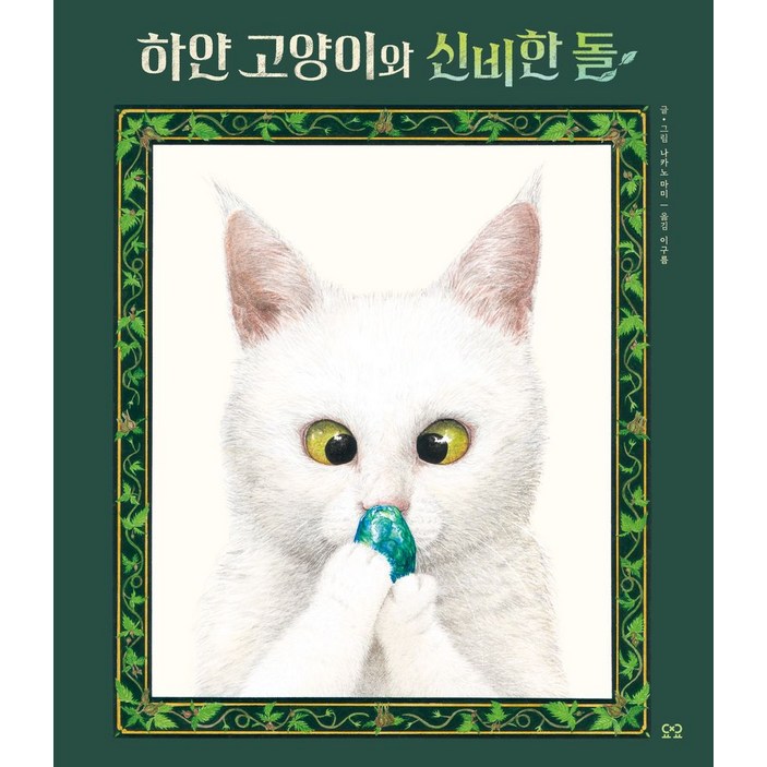 하얀 고양이와 신비한 돌, 요요