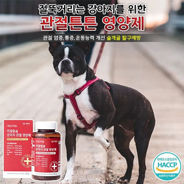 강아지를 위한 맛있는 관절+연골 건강 칼슘 영양제 슬개골보호,염증완화,관절통증 감소 뼈가약한 노령견 필수 영양제, 반려견용 맛있는 관절+연골 건강 칼슘 영양제 1개