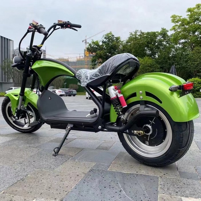 할리 전기스쿠터 고출력 엄청빠른 전기바이크 전동스쿠터