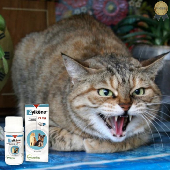 베토퀴놀 질켄 스트레스영양제 30캡슐 고양이안정제 긴장완화제 분리불안증상 스트레스완화, 상세페이지 참조