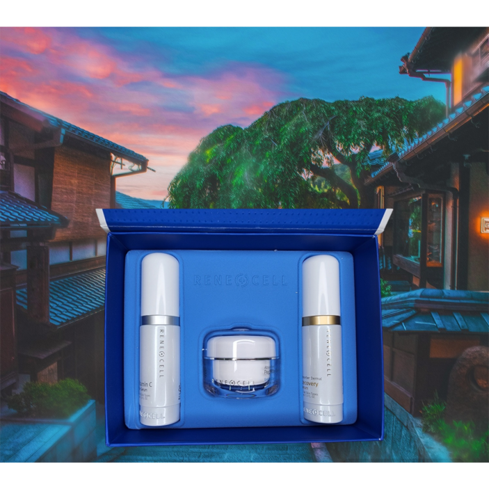 르네셀 비타민c 3종세트, 1개