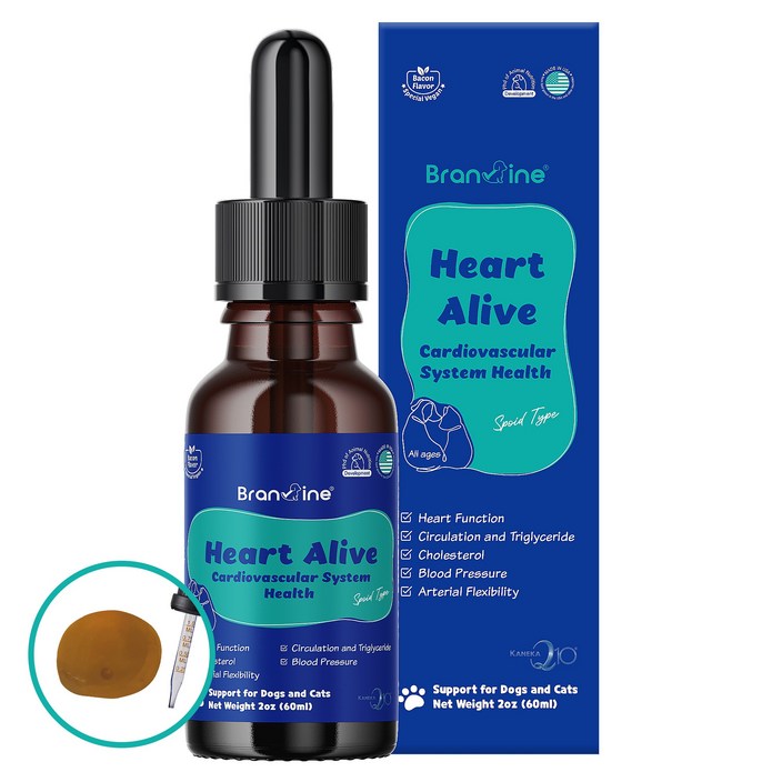 브랜바인 심장영양제 1병 강아지 고양이 심장약 심장비대증 오메가3 코큐텐, 1개