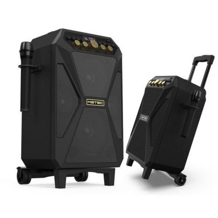 버스킹 마스터 휴대용 이동식 블루투스 스피커 600W 무선 마이크 캐리어형 대용량 배터리 엠지텍