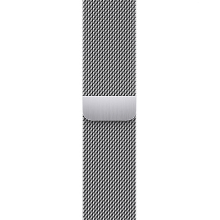 Apple 정품 애플워치 밀레니즈 루프