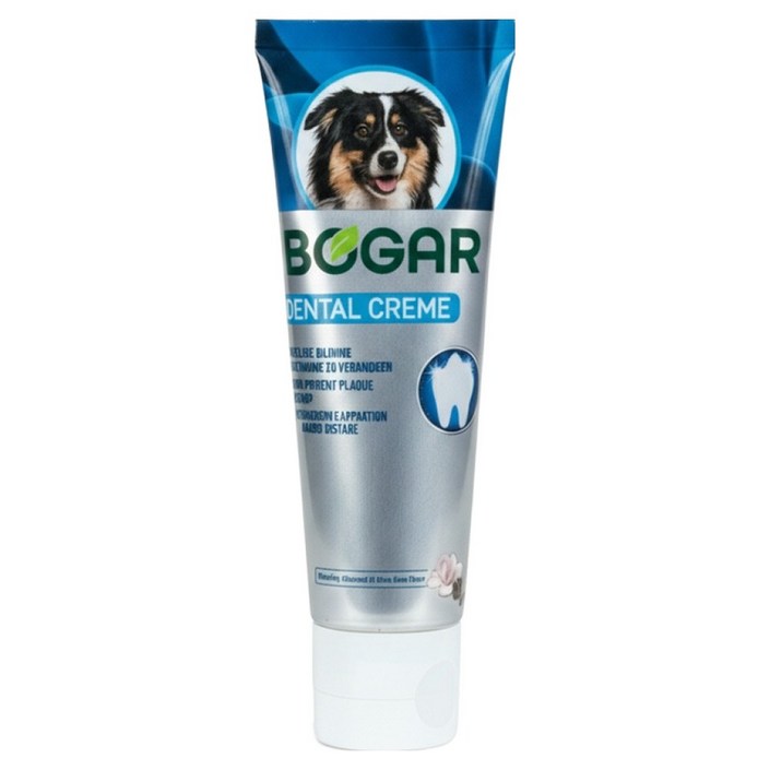 보가덴트 덴탈 크림 치약, 75ml, 1개