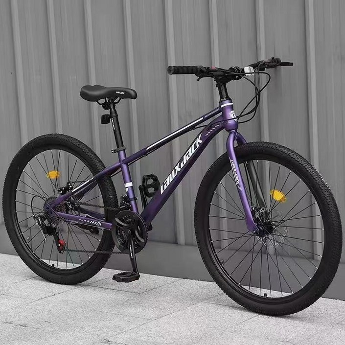 트랙 자전거 로드 mtb 하이브리드 입문용 스캇