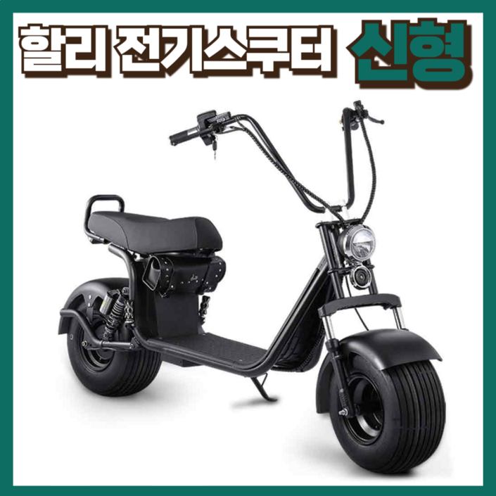 한울바람 할리 전기오토바이 스쿠터 바이크 취미 라이딩 충전 할리오토바이 고급 전동 간지