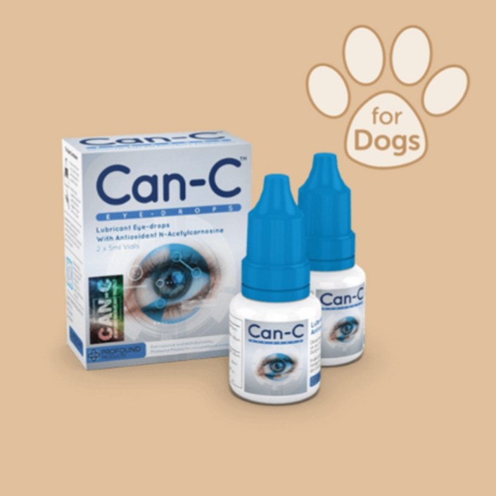 국내발송 CanC 강아지 Eye Drops 5ml X 2ea  Canc  강아지 백내장  강아지 안약  강아지 눈 혼탁  CanC 안약  캔씨  캔씨 안약