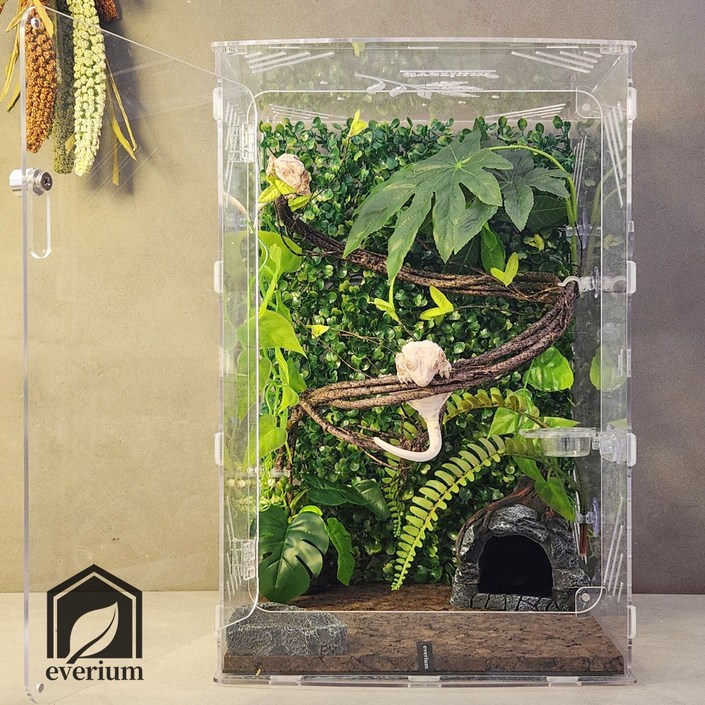 에버리움 크레스티드 게코 도마뱀 아크릴 사육장 세트  대형 30x30x45cm