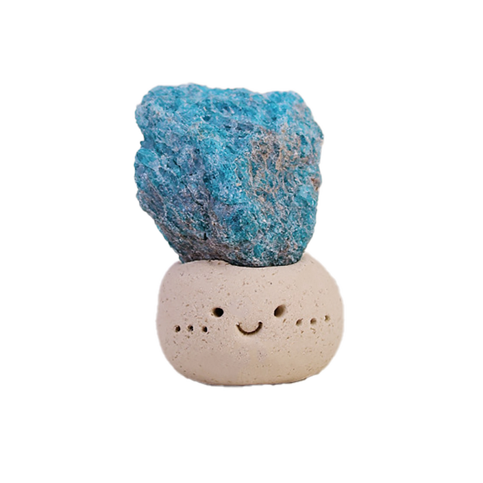 반려 돌 키우기 애완돌 파워스톤 원석 로즈쿼츠 자수정 수정 돌멩이