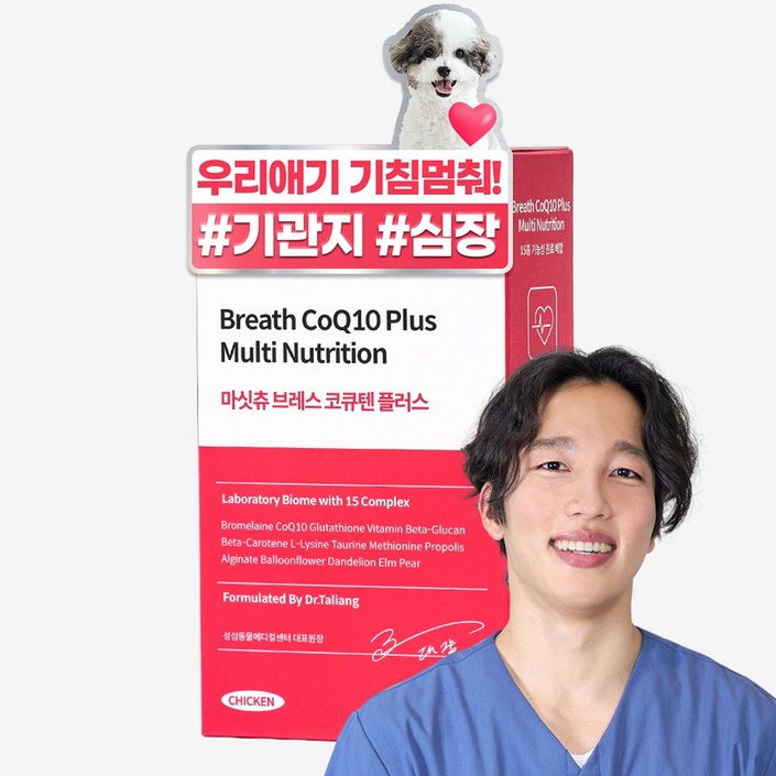 마싯츄 강아지 기관지 심장