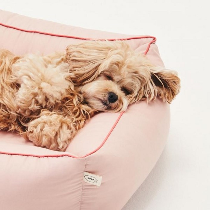 아르르 꿀잠방석 V2 강아지 고양이 방석 202492