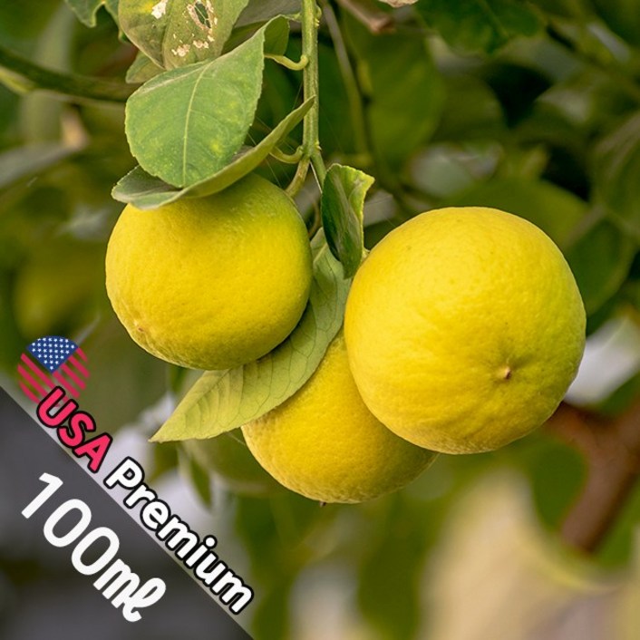 B047 나시블라썸 100ml (Nashi Blossome) 프래그런스오일  캔들 디퓨저 향수