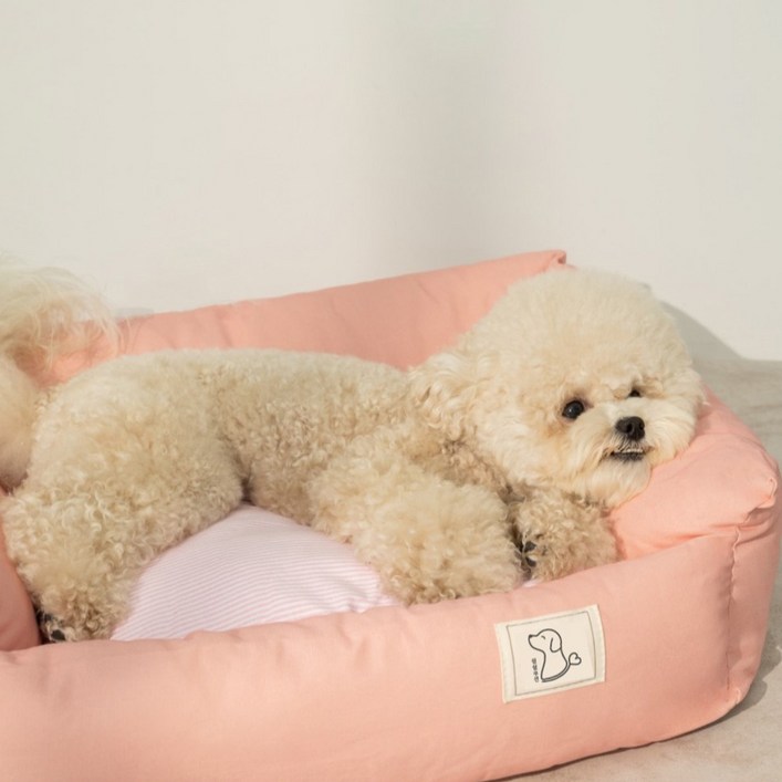 쉼쉼 강아지 방석 쿠션 꿀잠 본능 방석