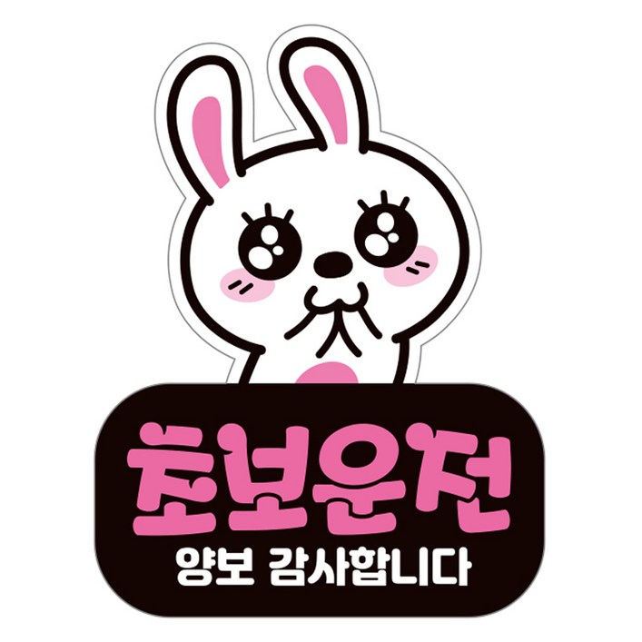 제제데코 자동차 탈부착 자석 고휘도 반사 초보운전 스티커 시트지 LC006