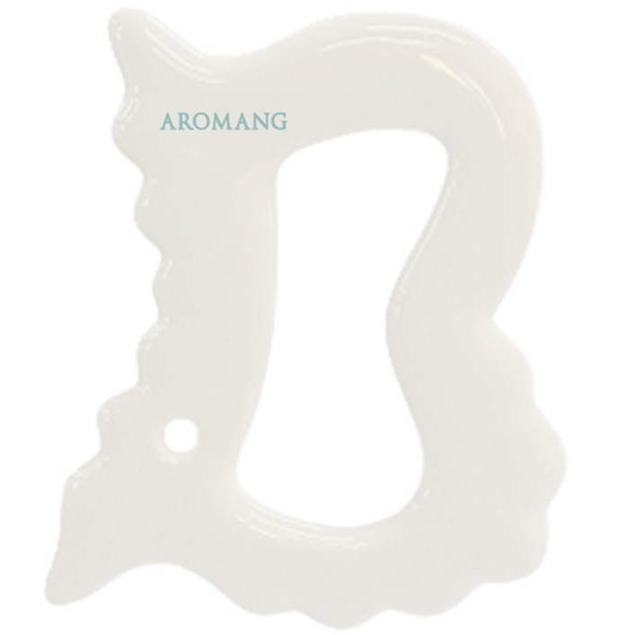 아로망 페이스 앤 바디 BB 괄사, 1개, 단일색상