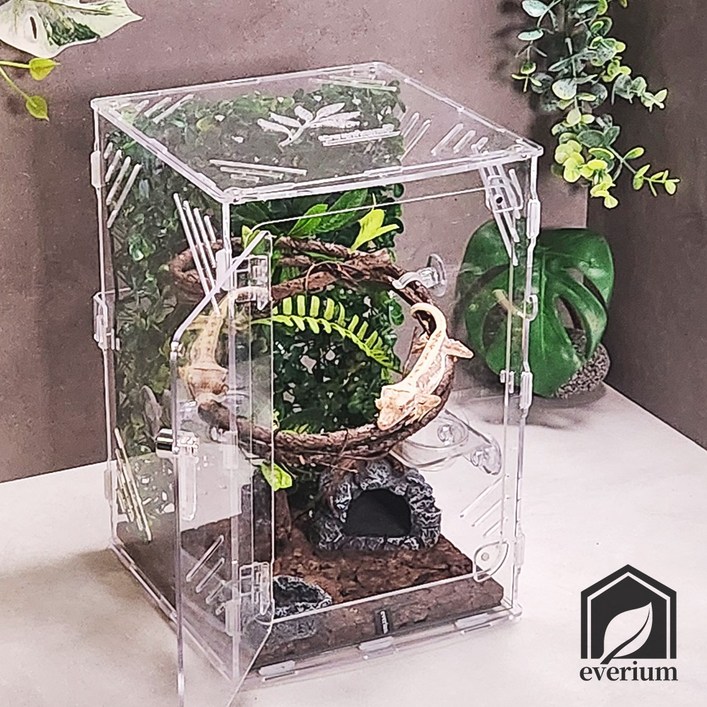 에버리움 크레스티드 게코 도마뱀 아크릴 사육장 세트 소형 20x20x30cm 에버리움 크레스티드 게코 도마뱀 아크릴 사육장 세트 소형 20x20x30cm