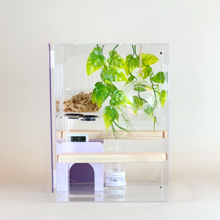 빌드몬스터 도마뱀 파충류 크레스티드게코 아크릴사육장 세트 25x25x35cm