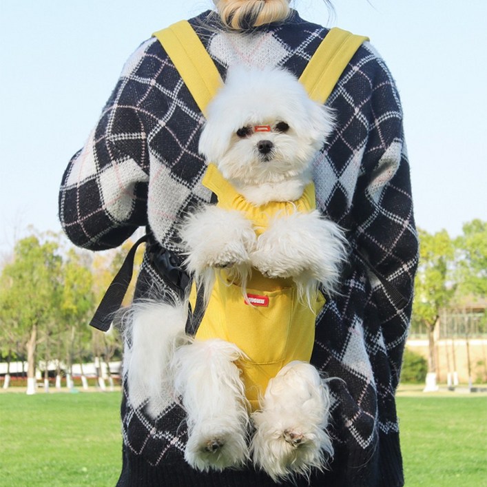 Jeernare 강아지 포대기 이동가방 고양이 이동장 여름 애견 산책가방 중형견 소형견 통용
